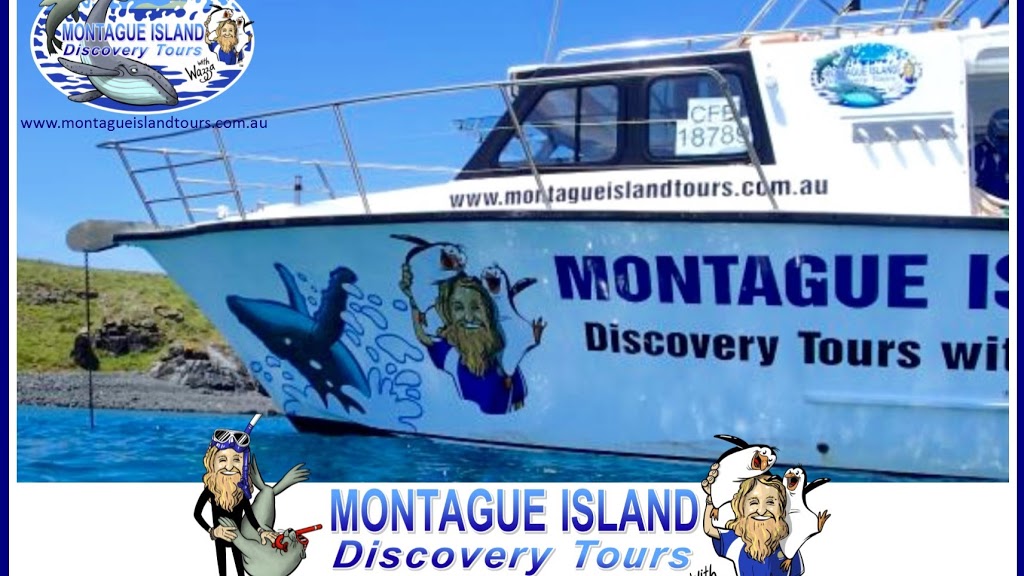 Lighthouse Charters Narooma & Montague Island Discovery Tours wi | travel agency | Bluewater Drive, Narooma NSW 2546, Australia | 0412312478 OR +61 412 312 478