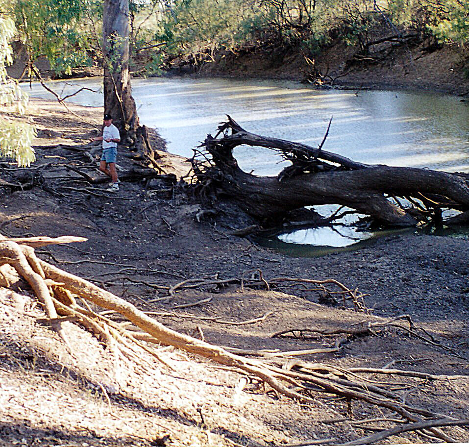 NAMOI RIVER CAMP GROUND. | Baradine-Collarenebri Rd, Pilliga NSW 2388, Australia