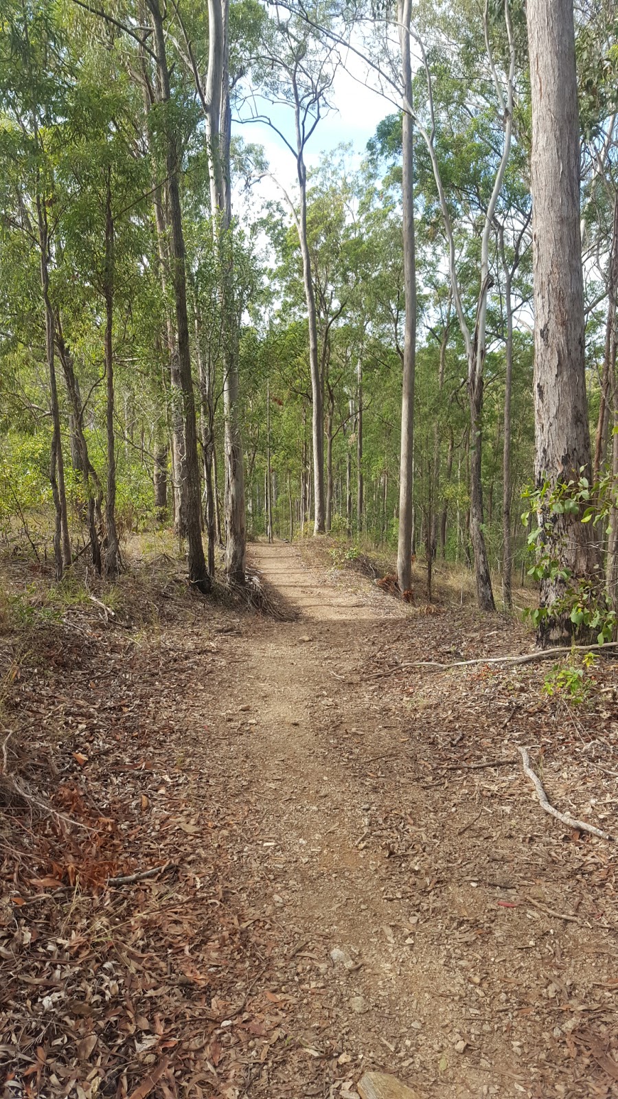 Dog off-leash area | Cemetery Rd, Upper Kedron QLD 4055, Australia | Phone: (07) 3403 8888