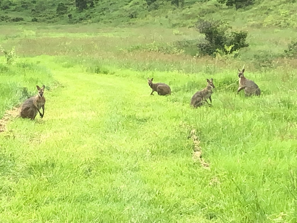 "Camp Creek Retreat" |  | Camp Creek Rd, Running Creek QLD 4287, Australia | 0417074762 OR +61 417 074 762