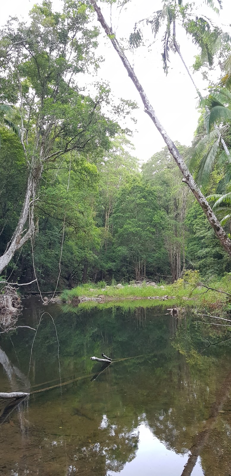 Couchy Creek Nature Reserve | Numinbah NSW 2484, Australia