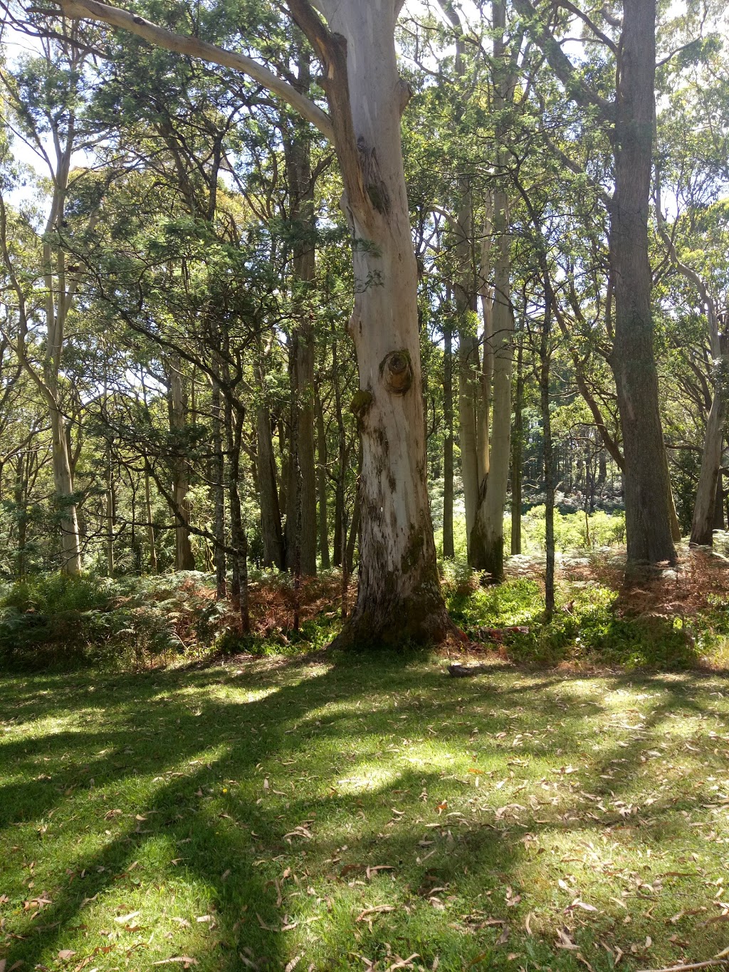 Days Picnic Ground | park | Hesket VIC 3442, Australia