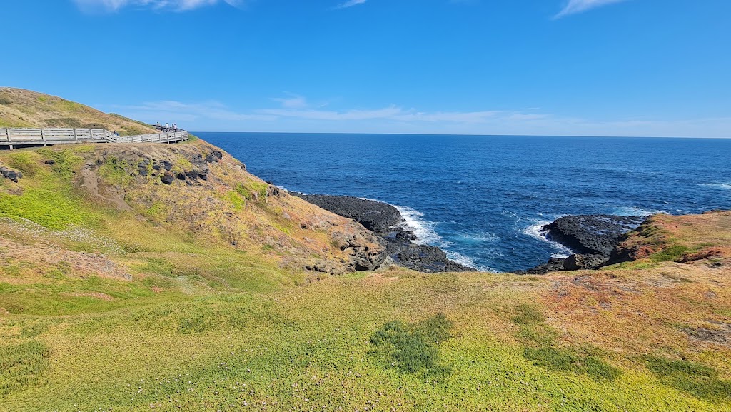 Penguin Premium | 1019 Ventnor Rd, Summerlands VIC 3922, Australia | Phone: (03) 5951 2800
