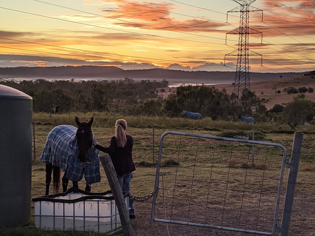 Giddy Up Farm | 2 Nelson Ln, Laidley Creek West QLD 4341, Australia | Phone: 0419 679 465