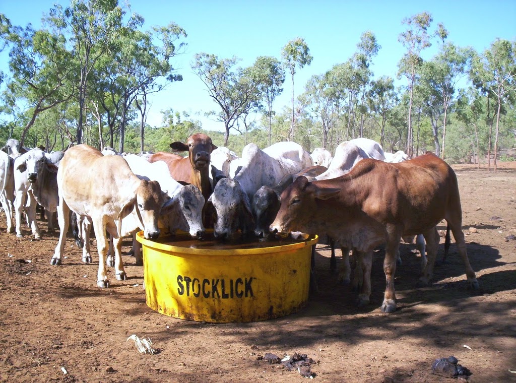 Stocklick Trading | food | 13136 Flinders Hwy, Black Jack QLD 4820, Australia | 0747877007 OR +61 7 4787 7007