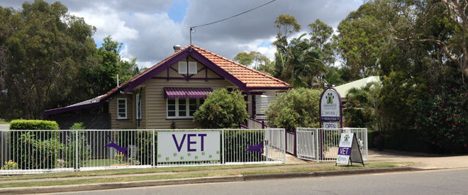 Wynnum Bayside Veterinary Surgery | veterinary care | 244 Preston Rd, Wynnum West QLD 4178, Australia | 0738930858 OR +61 7 3893 0858