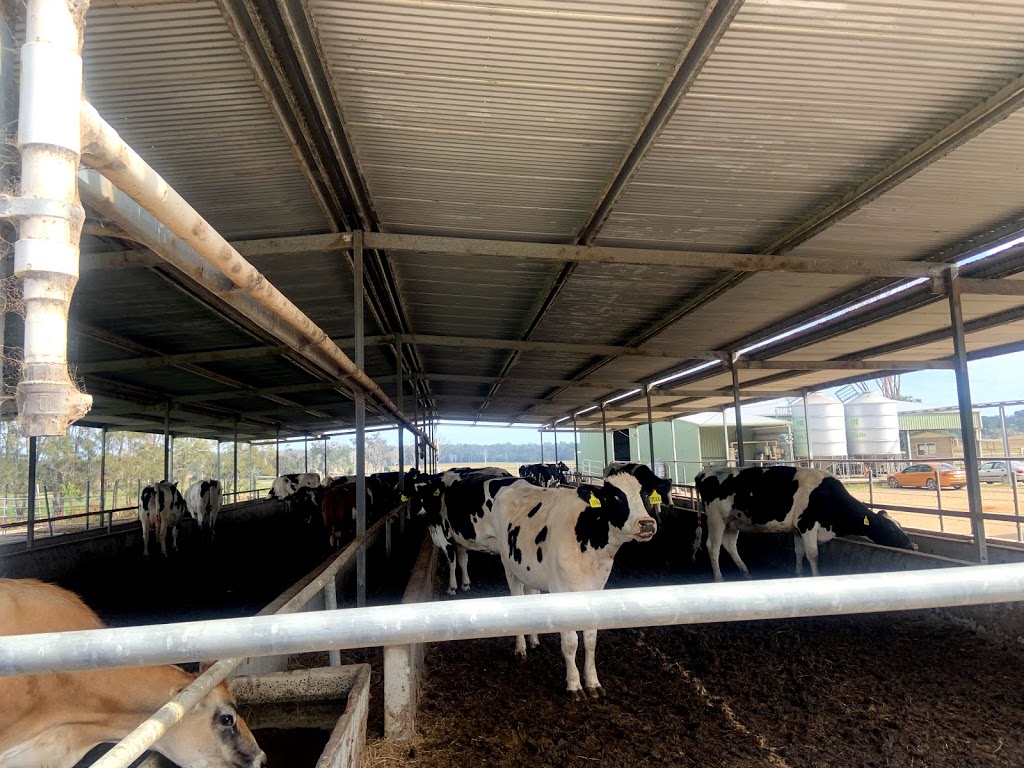 Clarence Valley Dairy |  | 1549 Lawrence Rd, Southgate NSW 2460, Australia | 0430926171 OR +61 430 926 171