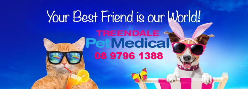 Treendale Pet Medical | veterinary care | 109 The Blvd, Australind WA 6233, Australia | 0897961388 OR +61 8 9796 1388