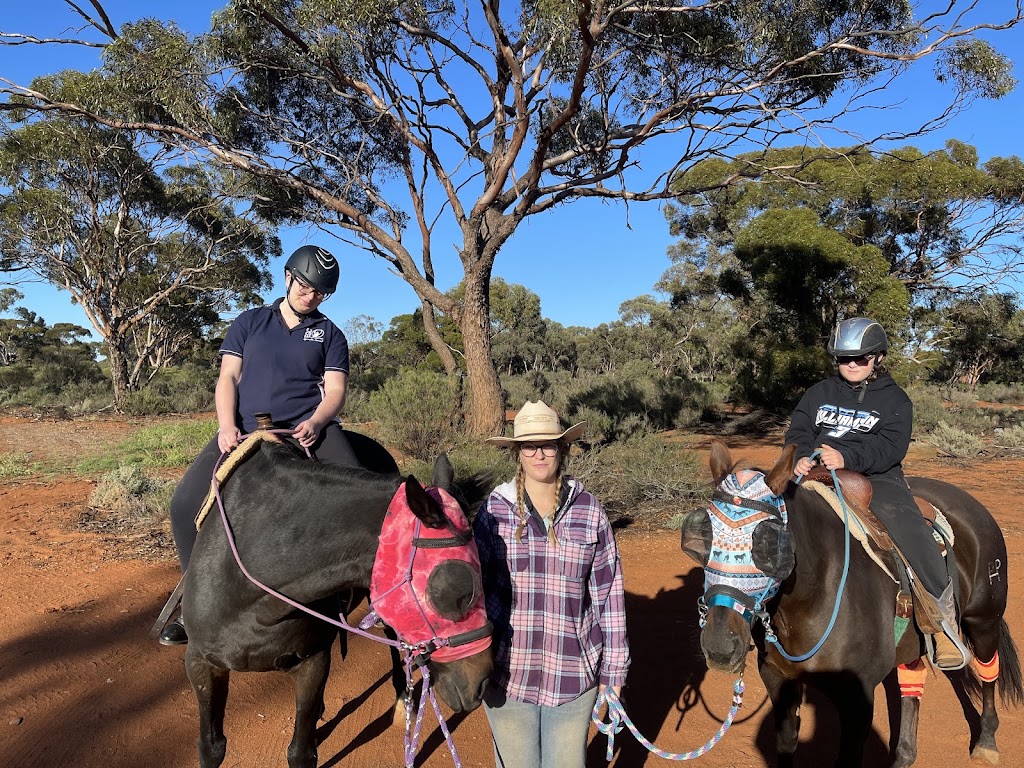 Breakthrough Education and Equine Academy | 379 Piccadilly St, West Lamington WA 6430, Australia | Phone: 0407 271 821
