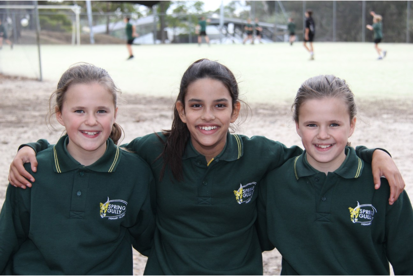 Spring Gully Primary School | 104 Spring Gully Rd, Spring Gully VIC 3550, Australia | Phone: (03) 5443 7230