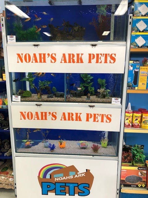 Noahs Ark Pets | pet store | 3a/2 Garling Rd, Kings Park NSW 2148, Australia | 0298313322 OR +61 2 9831 3322