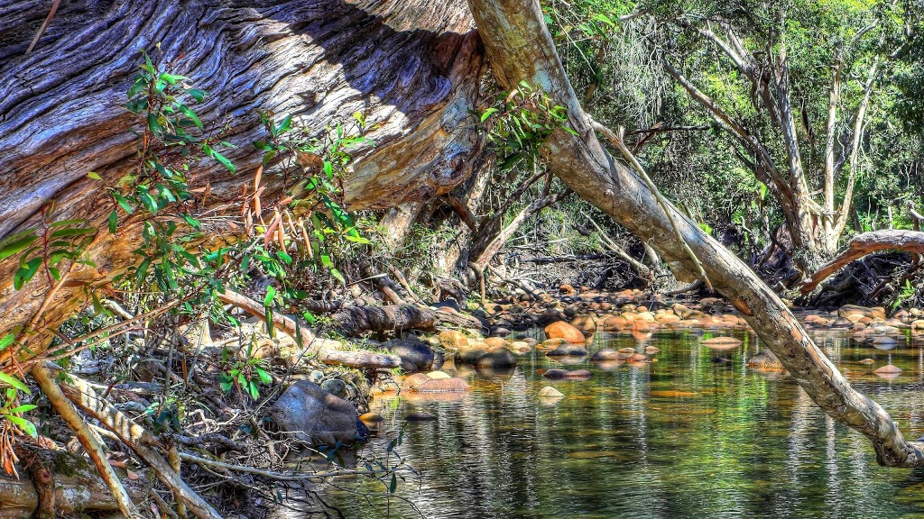 Palmerston Rocks National Park | park | Nerada QLD 4860, Australia
