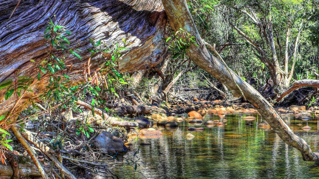 Palmerston Rocks National Park | Nerada QLD 4860, Australia