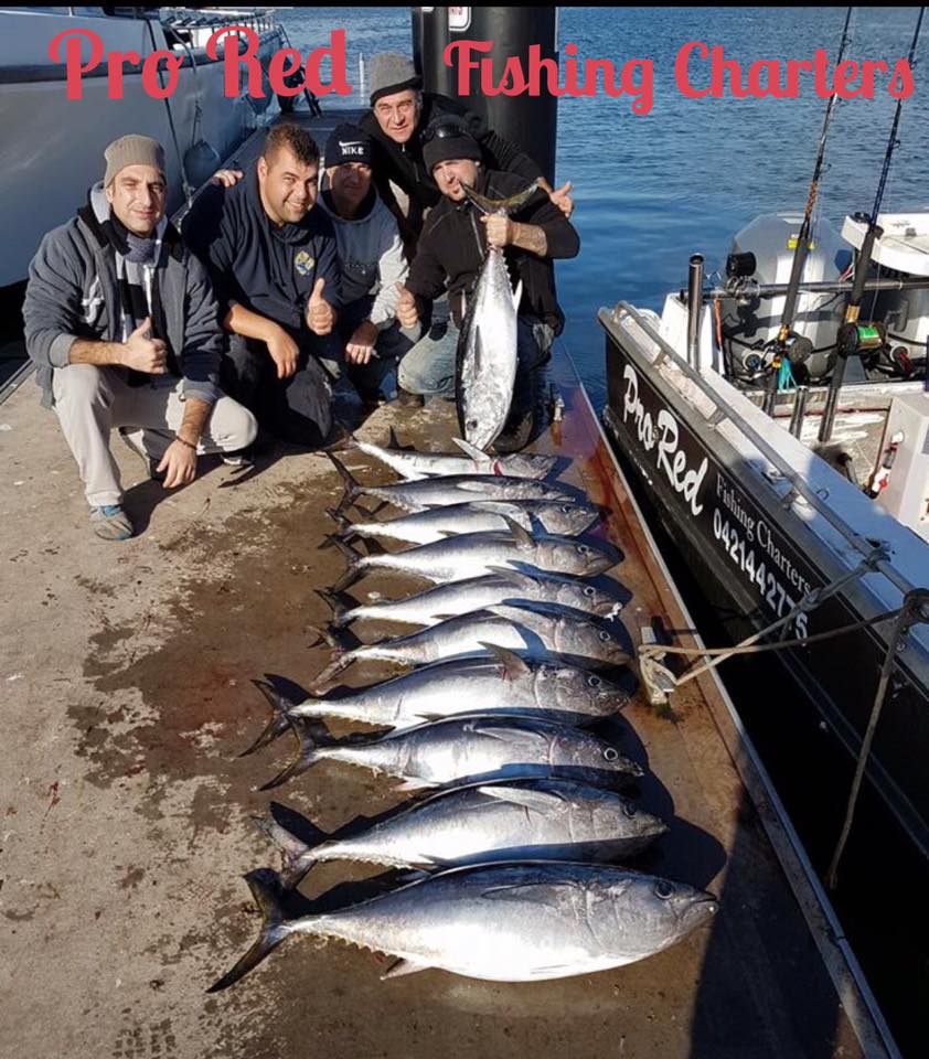 Pro Red Fishing Charters Melbourne | 1 Schnapper Point Dr, Mornington VIC 3931, Australia | Phone: 0421 442 775