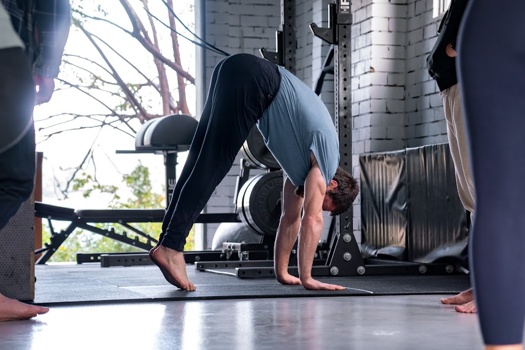 Meditative Monkey | 4 Pindari Terrace, Green Point NSW 2251, Australia | Phone: 0492 905 725