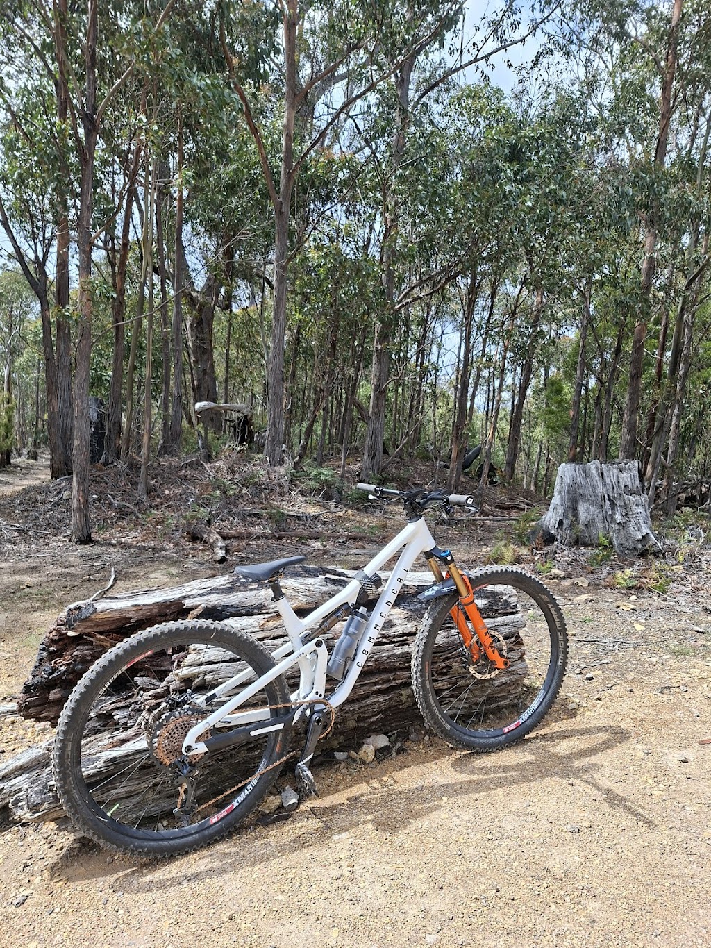 Sojourn Bicycles - Premium Mountain Bike Hire/Rental | 196 Strickland Ave, South Hobart TAS 7004, Australia | Phone: 0418 570 665