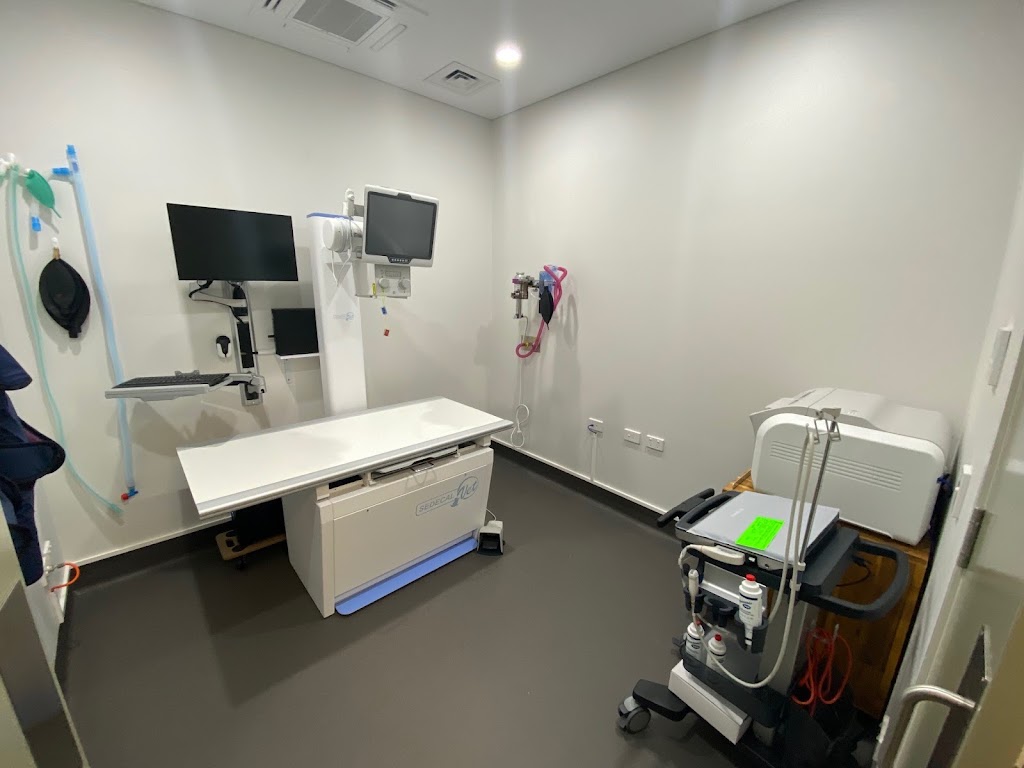 Valley Veterinary Surgery - Marian | 3 Hadley St, Marian QLD 4753, Australia | Phone: (07) 4914 2404
