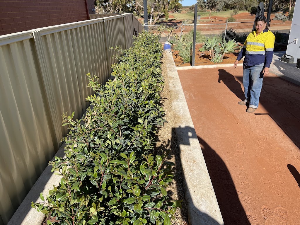 DC Reticulation | 103 Federal Rd, Boulder WA 6432, Australia | Phone: 0418 945 607