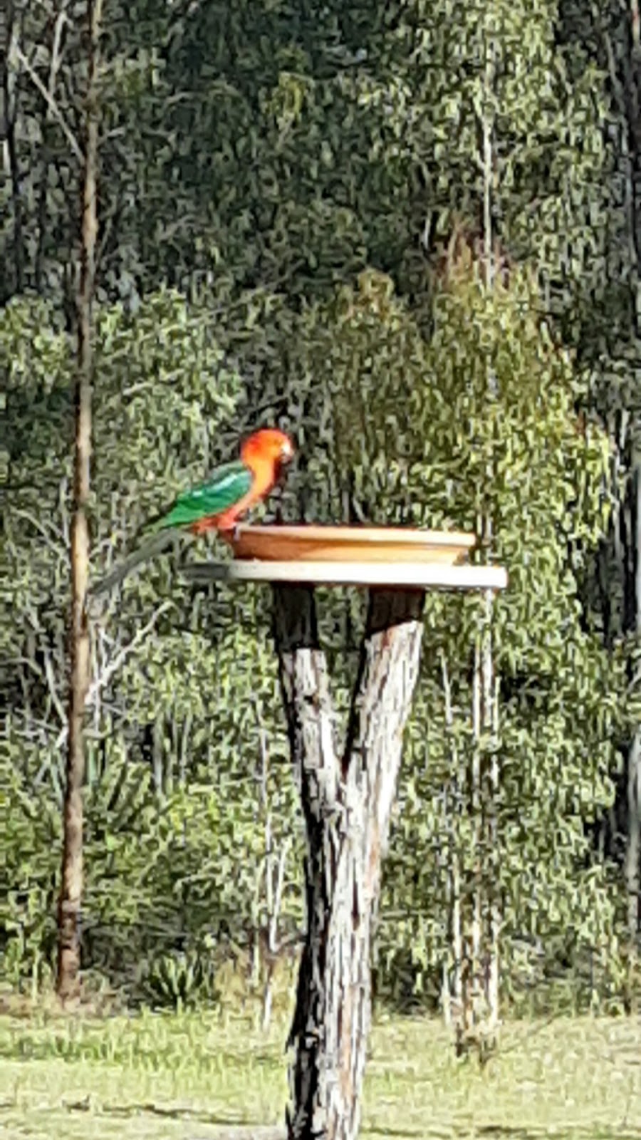 Skullies Mountain Nature Reserve | 74 Boyle Rd, Moogerah QLD 4309, Australia | Phone: 0407 001 590