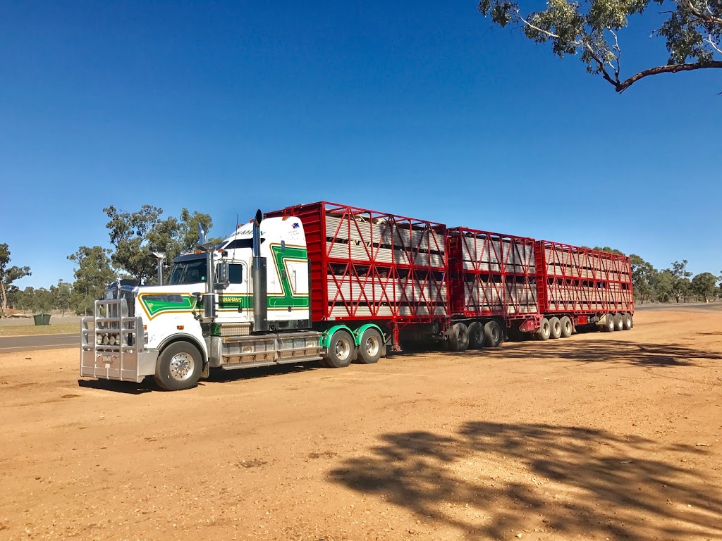 Shanahans Livestock Transport | 787 Barnawartha-Howlong Rd, Barnawartha VIC 3688, Australia | Phone: 0438 208 073