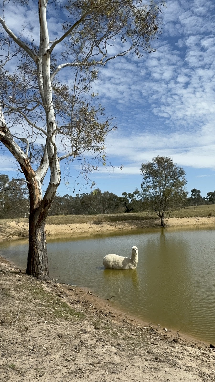 Ravenswood Retreat | 96 Calder Alternative Hwy, Ravenswood VIC 3453, Australia | Phone: 0408 374 598