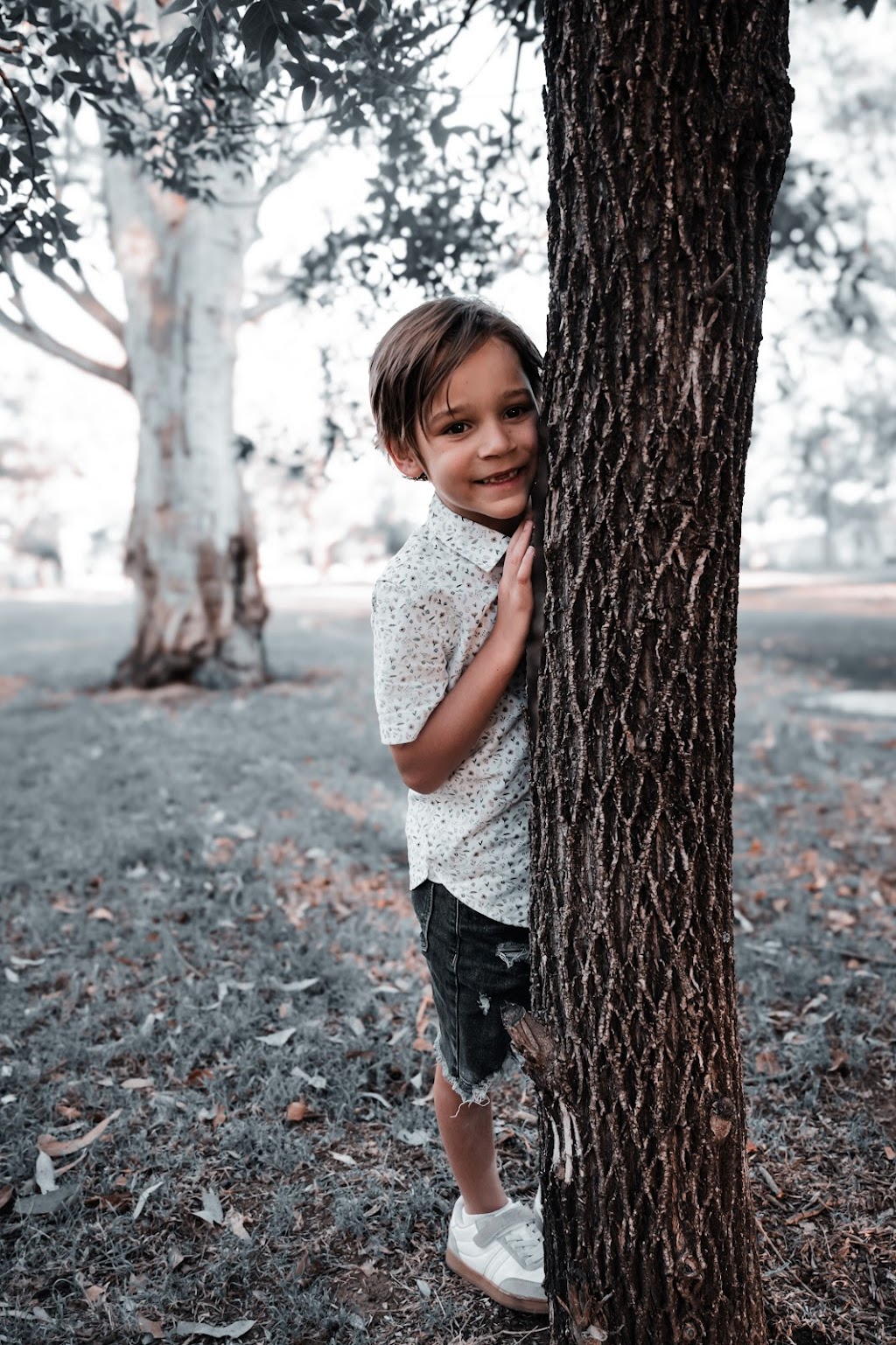 The Mellor Perspective | 53 Newell Hwy, Gilgandra NSW 2827, Australia | Phone: 0434 070 335