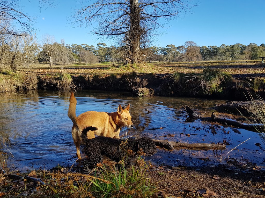 Gosling Creek Reserve | 28 Forest Rd, Bloomfield NSW 2800, Australia