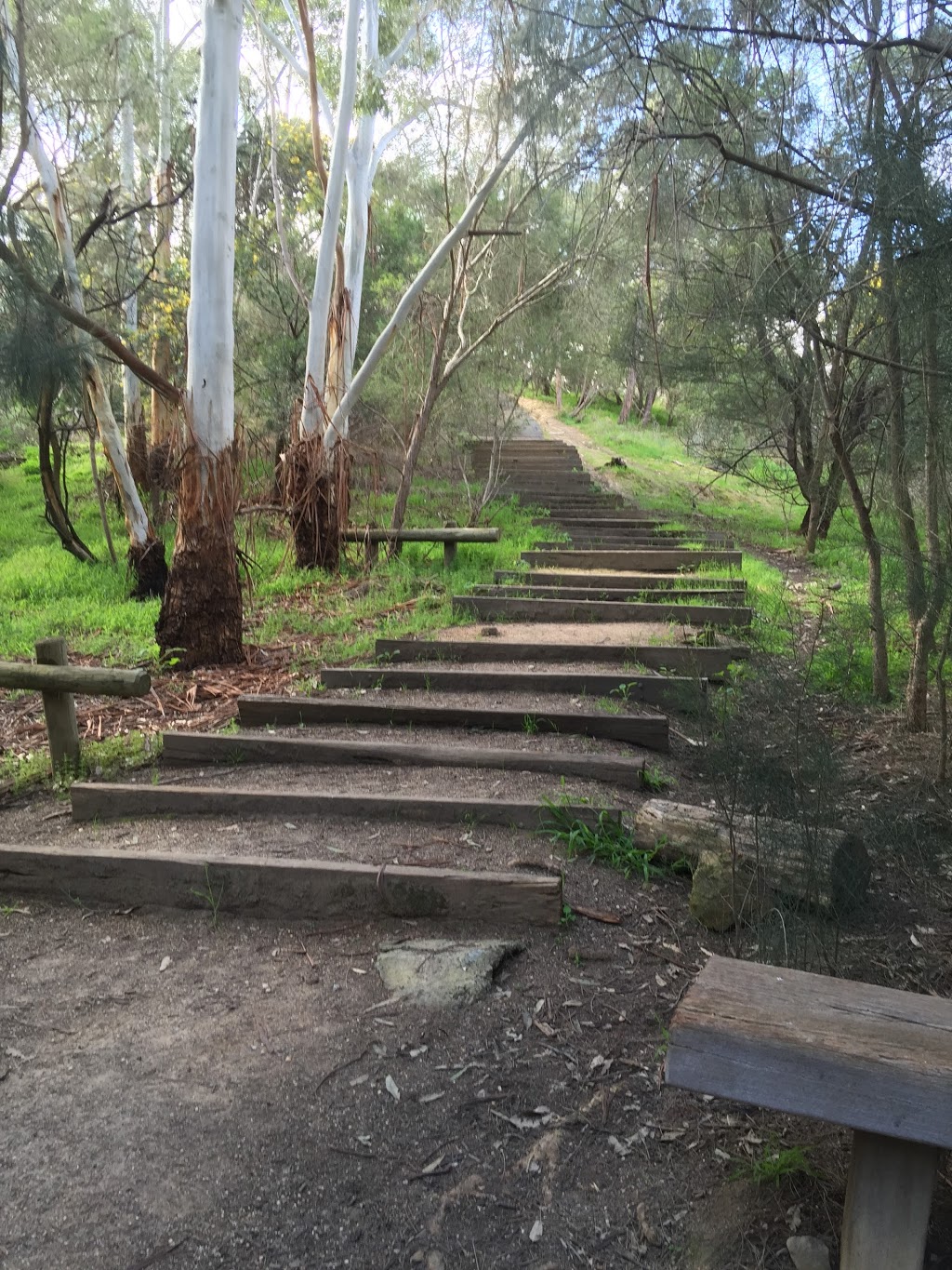 Drummies Bridge Reserve | Glen Waverley VIC 3150, Australia