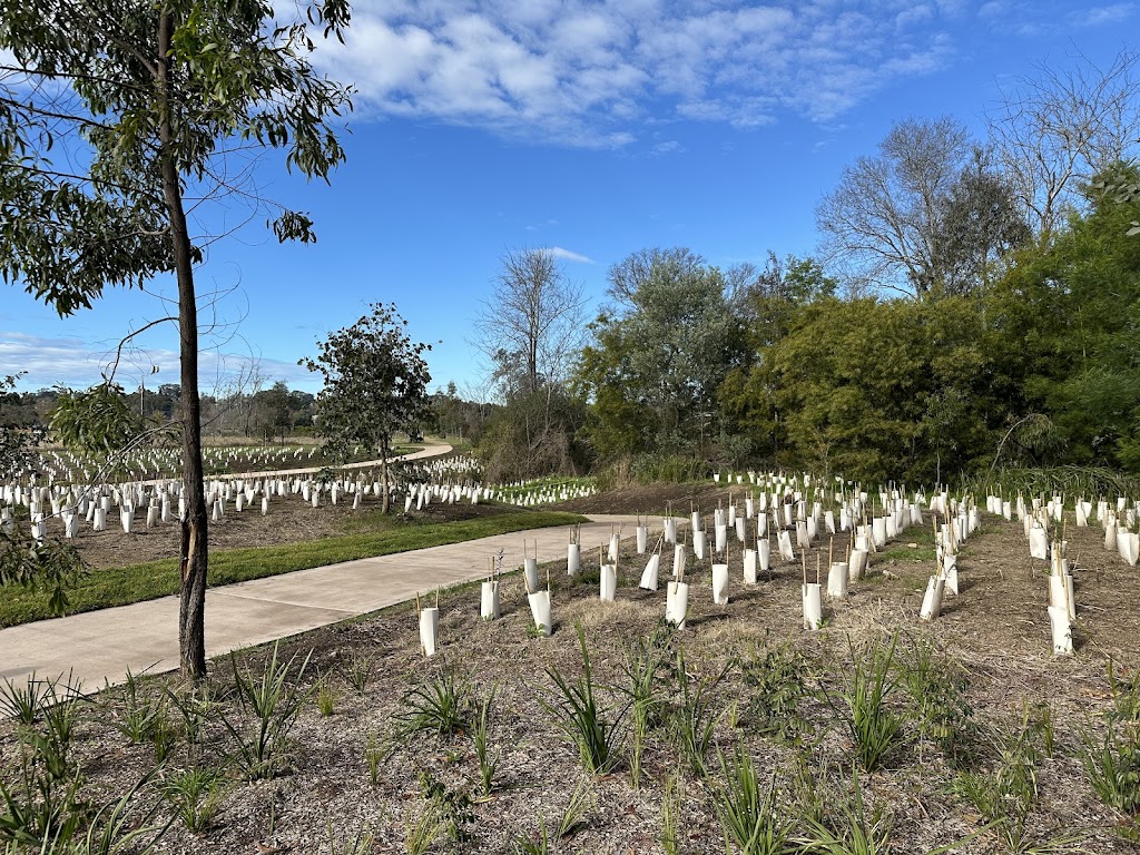 Nepean River Trail Camden (Not Camden Bike Track) | 42 Exeter St, Camden NSW 2570, Australia | Phone: (02) 4654 7829