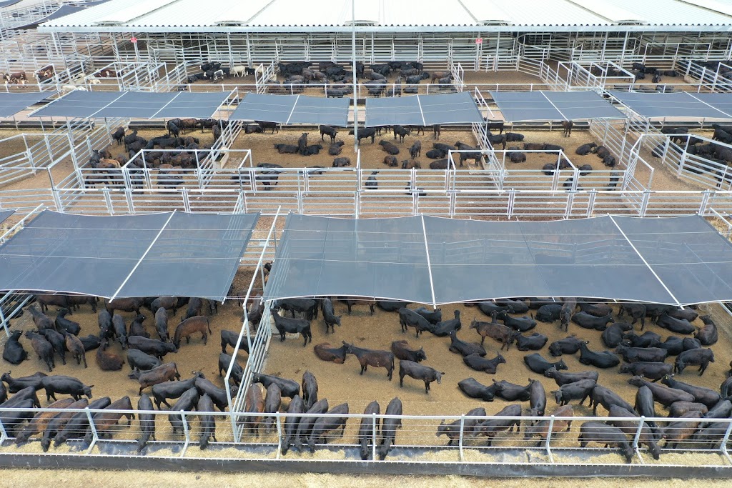 NVLX - Northern Victoria Livestock Exchange |  | 1934 Murray Valley Hwy, Barnawartha North VIC 3691, Australia | 0260428000 OR +61 2 6042 8000