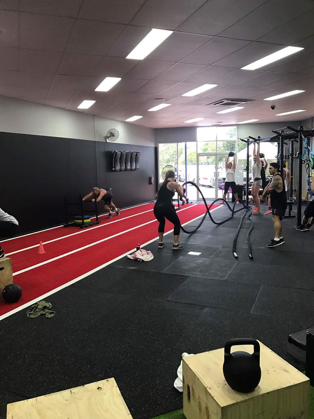 Pegasus Strength and Conditioning | gym | 33 Rene St, Noosaville QLD 4566, Australia | 0439674386 OR +61 439 674 386
