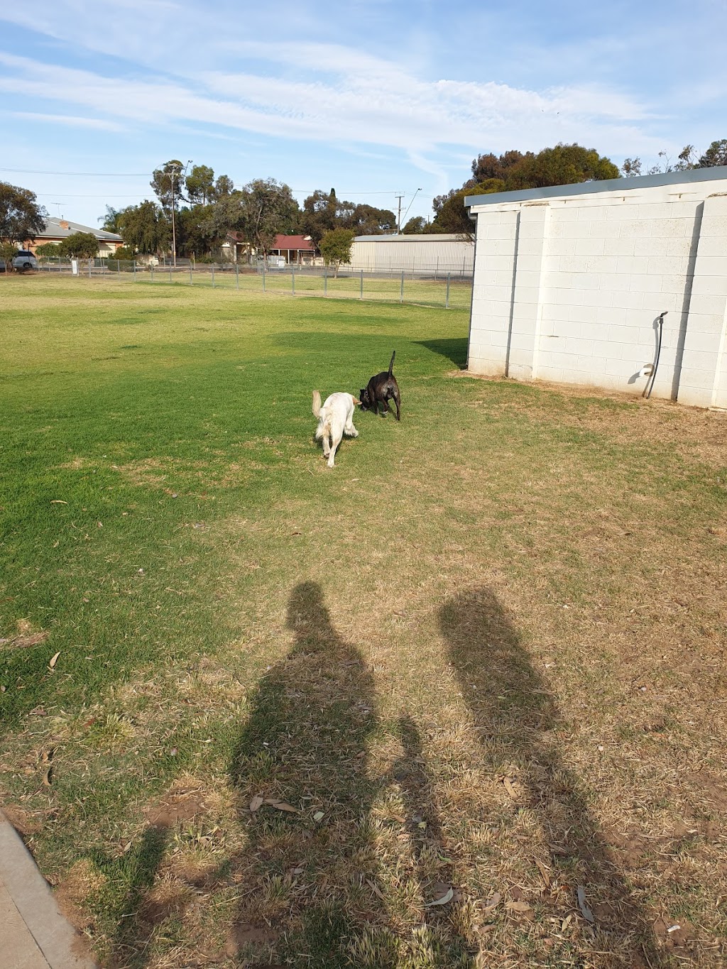 Johnstone Park Dog Park | park | Murray Bridge SA 5254, Australia