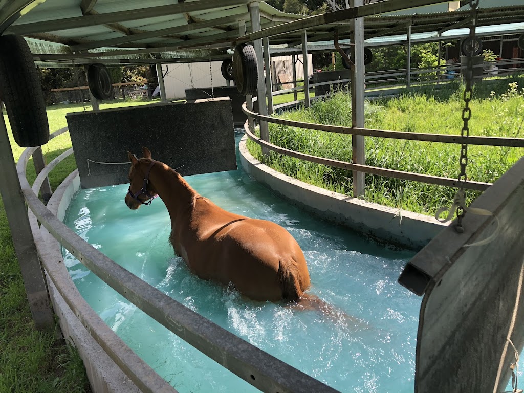 Kaidon park equine salt therapy and rehab | store | Ochiltrees Rd, Romsey VIC 3434, Australia | 0429210080 OR +61 429 210 080