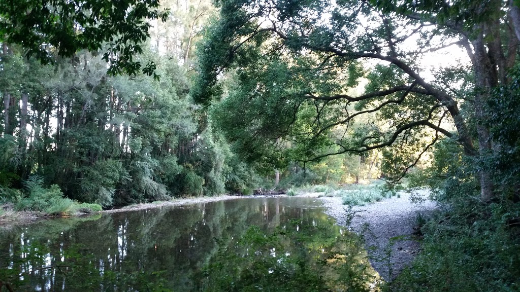 Never Never Creek | park | Bellingen NSW 2454, Australia