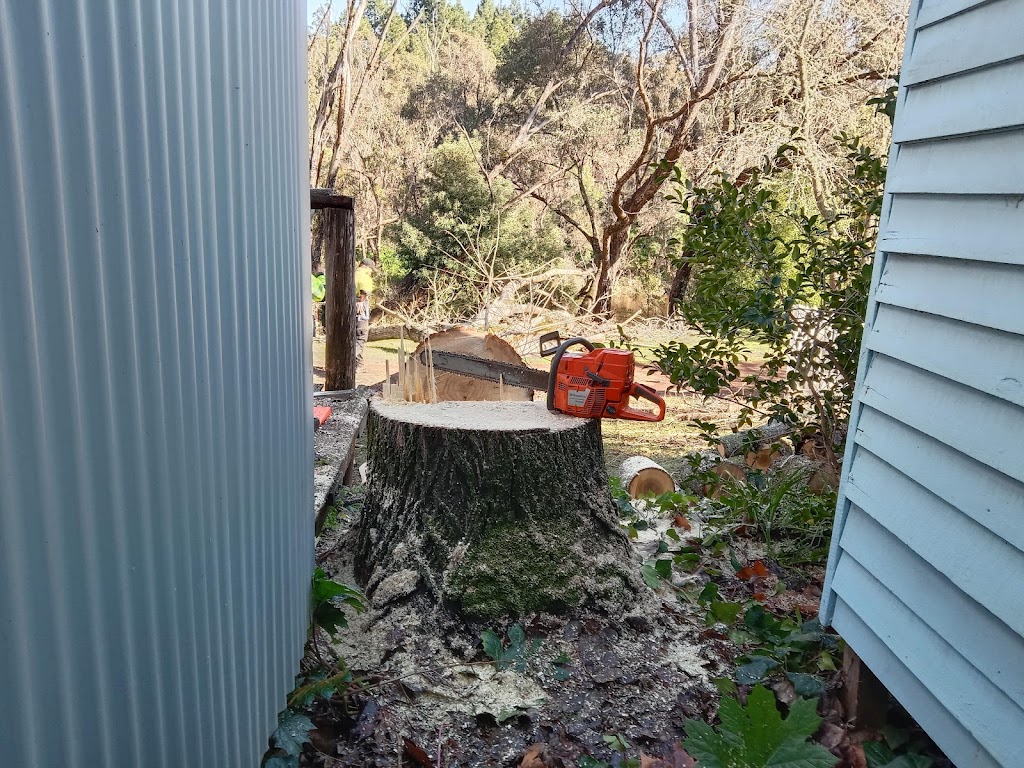 Parks Chainsaw and Tree Services | 32 Forrest St, Bridgetown WA 6255, Australia | Phone: 0459 689 518