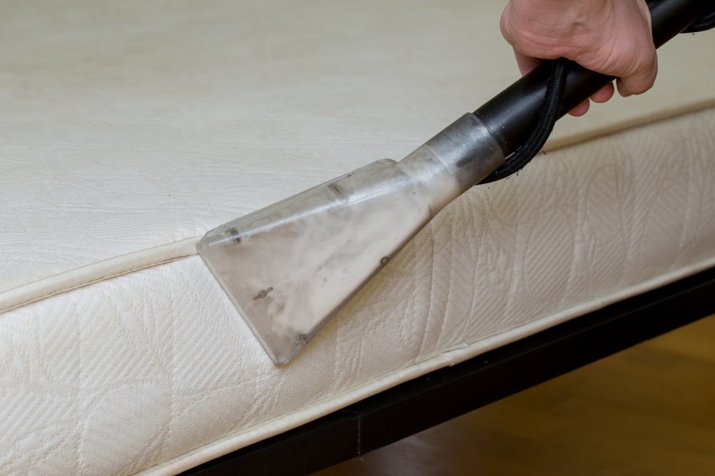 Oxford Cleaning Sydney | 23 Weyland St, Punchbowl NSW 2196, Australia | Phone: (02) 7802 6481