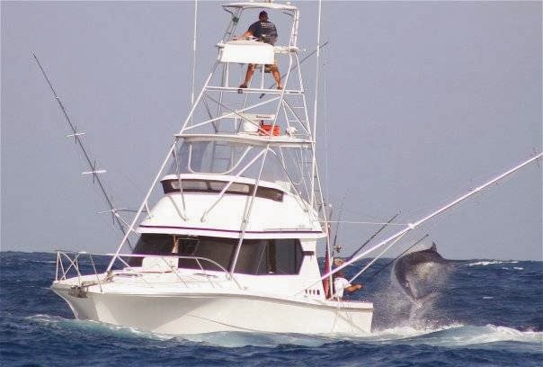 Calypso Fishing Adventures | 212 Soldiers Point Rd, Salamander Bay NSW 2317, Australia | Phone: 0411 111 476