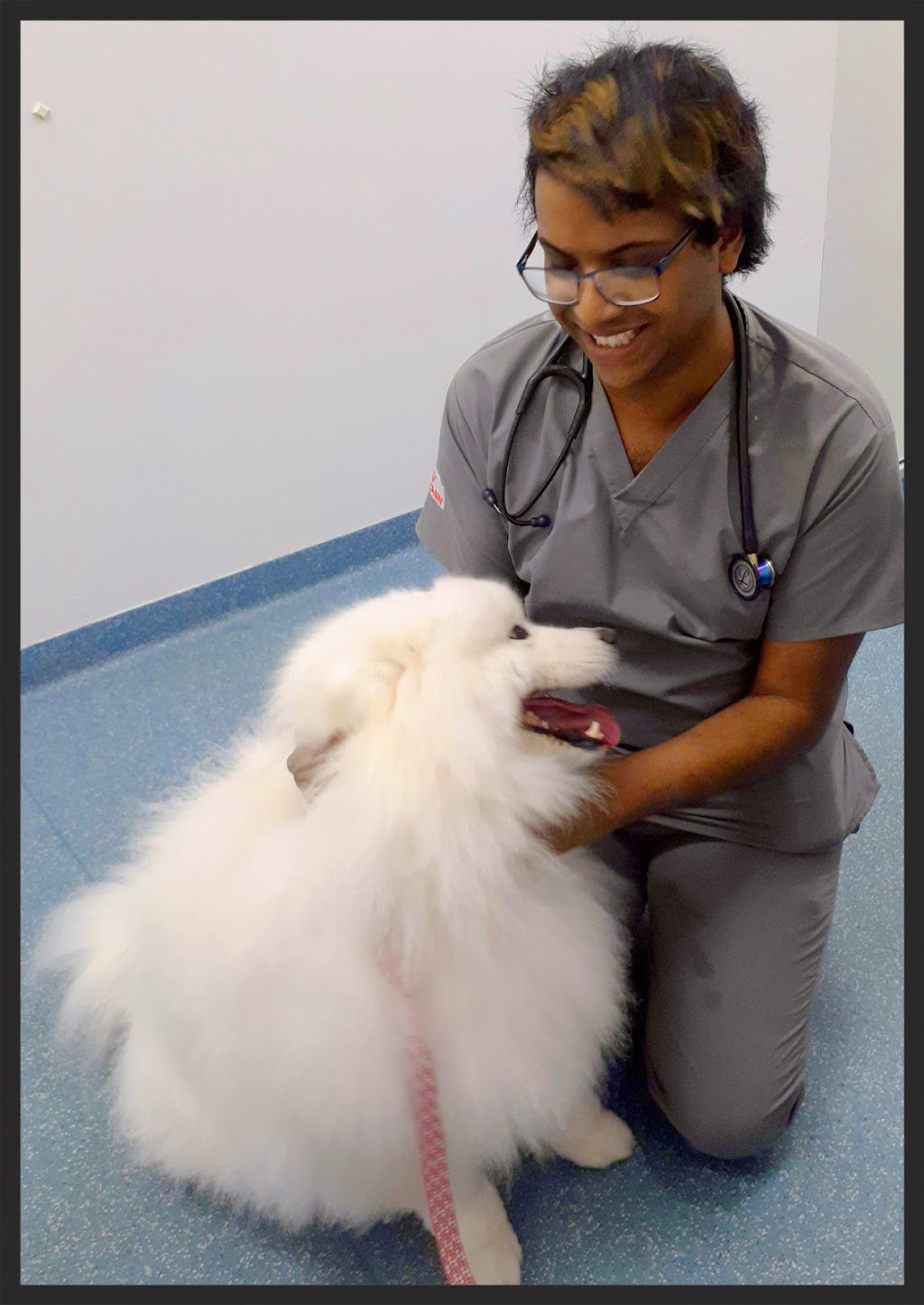 Sage Vets - Booragoon Vet | 8/70 Norma Rd, Booragoon WA 6154, Australia | Phone: (08) 9330 1665