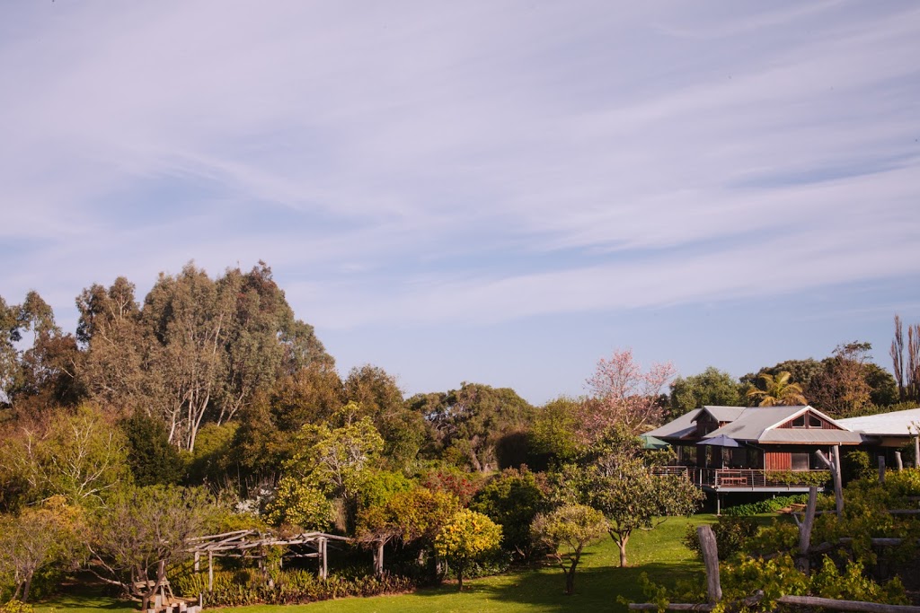 Rivendell Winery Estate | restaurant | 1172 Wildwood Rd, Yallingup Siding WA 6282, Australia | 0897552000 OR +61 8 9755 2000