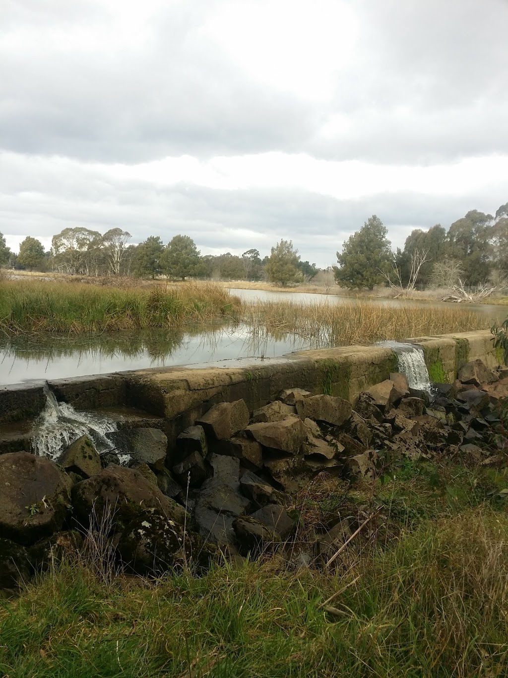 Cecil Hoskins Nature Reserve | LOT 2 Moss Vale Rd, Burradoo NSW 2576, Moss Vale NSW 2577, Australia | Phone: (02) 4887 7270