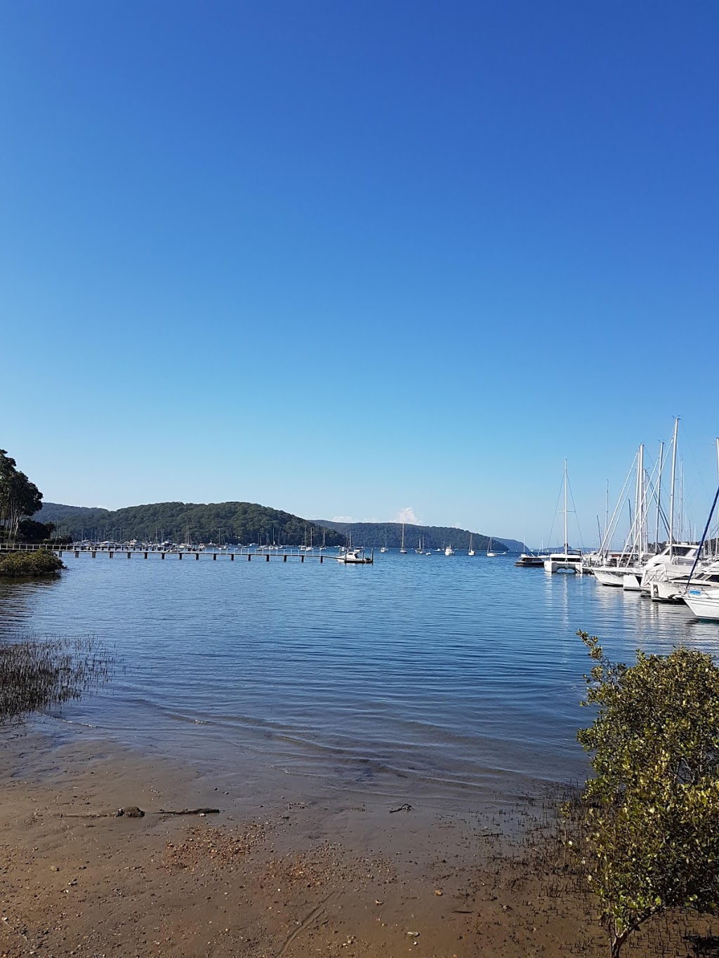 Maybanke Cove | park | 1720 Pittwater Rd, Bayview NSW 2104, Australia