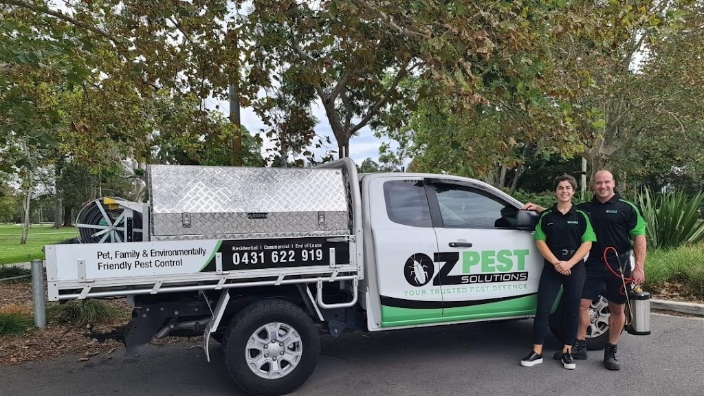 OzPest Solutions | home goods store | 31 Maher Ave, East Maitland NSW 2323, Australia | 0431622919 OR +61 431 622 919