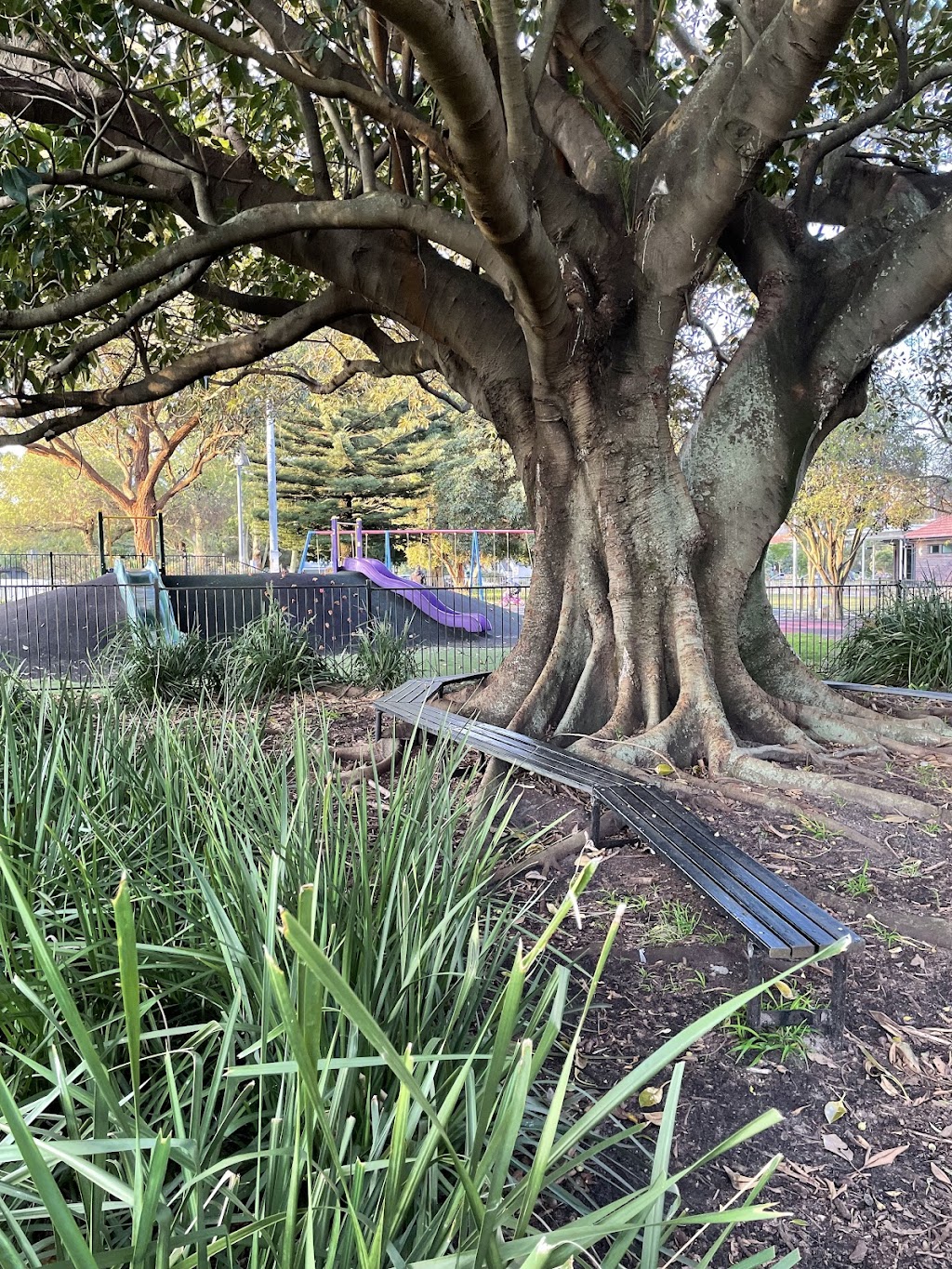 John Calopedos Memorial Playground | 2R Edward Ave, Kensington NSW 2033, Australia | Phone: 1300 722 542
