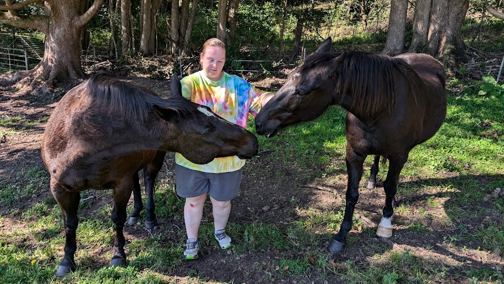 Sunnybank Therapies | 16 Chittaway Rd, Ourimbah NSW 2258, Australia | Phone: 0435 370 817