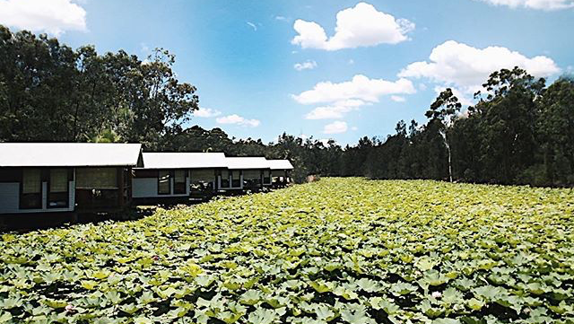 Leaves & Fishes – The Boathouses | lodging | 737 Lovedale Rd, Lovedale NSW 2320, Australia | 0249307400 OR +61 2 4930 7400