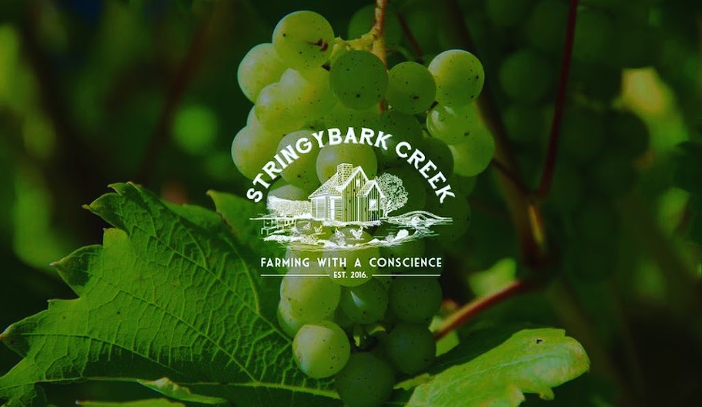 Stringybark Creek Vineyard |  | 120 Channel Rd, Silvan VIC 3795, Australia | 0407838718 OR +61 407 838 718