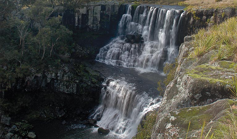 Ebor Falls | tourist attraction | Ebor Walking Track, Ebor NSW 2453, Australia | 0267390700 OR +61 2 6739 0700