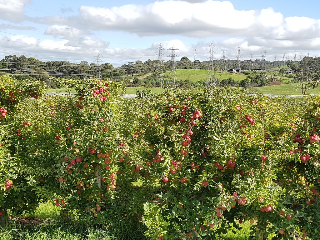 Bellevue Orchard and Summer Snow Juice | 544 Brown Rd, Officer VIC 3809, Australia | Phone: (03) 5943 2390