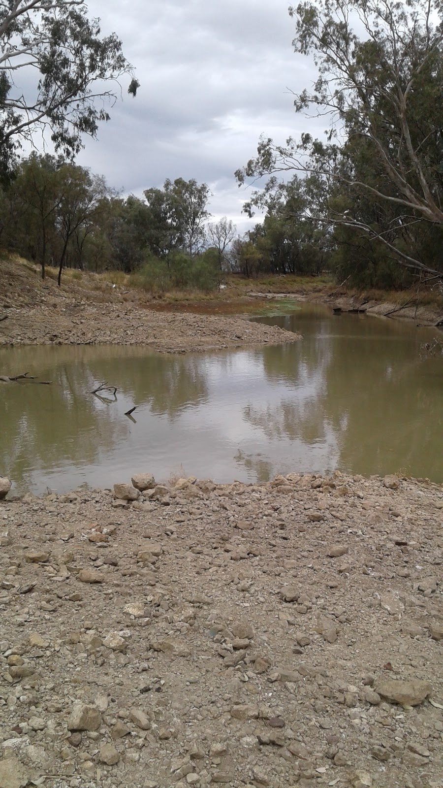 NAMOI RIVER CAMP GROUND. | Baradine-Collarenebri Rd, Pilliga NSW 2388, Australia