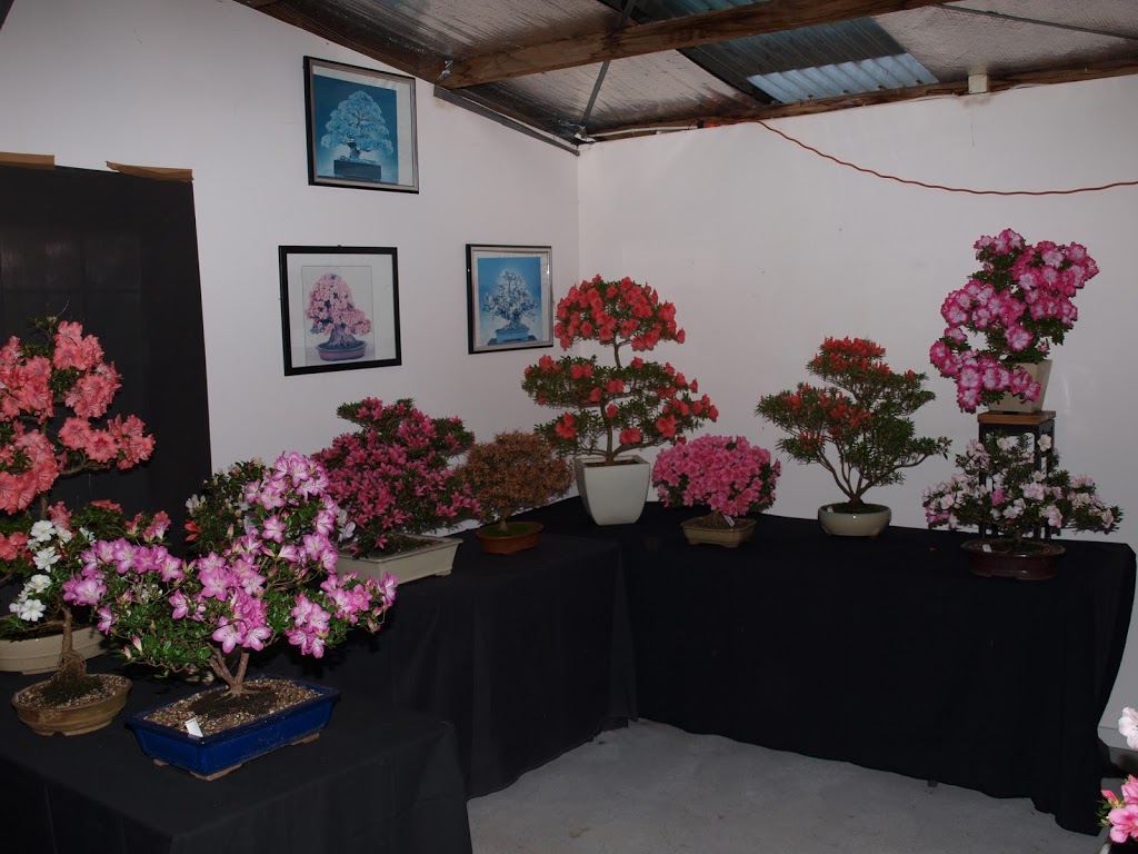 Bonsai Art Nursery | 236 Old Dandenong Rd, Heatherton VIC 3202, Australia | Phone: 0402 096 725